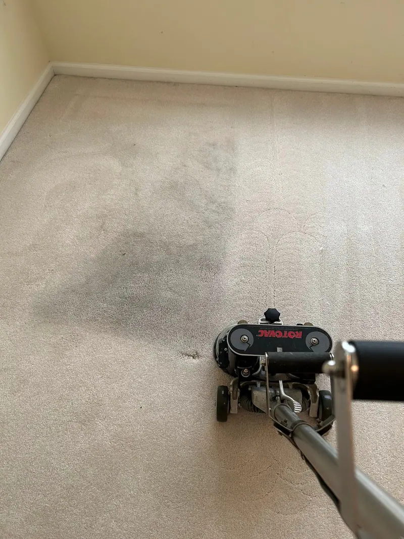 A dark soiled patch beside freshly cleaned light carpet in a bedroom