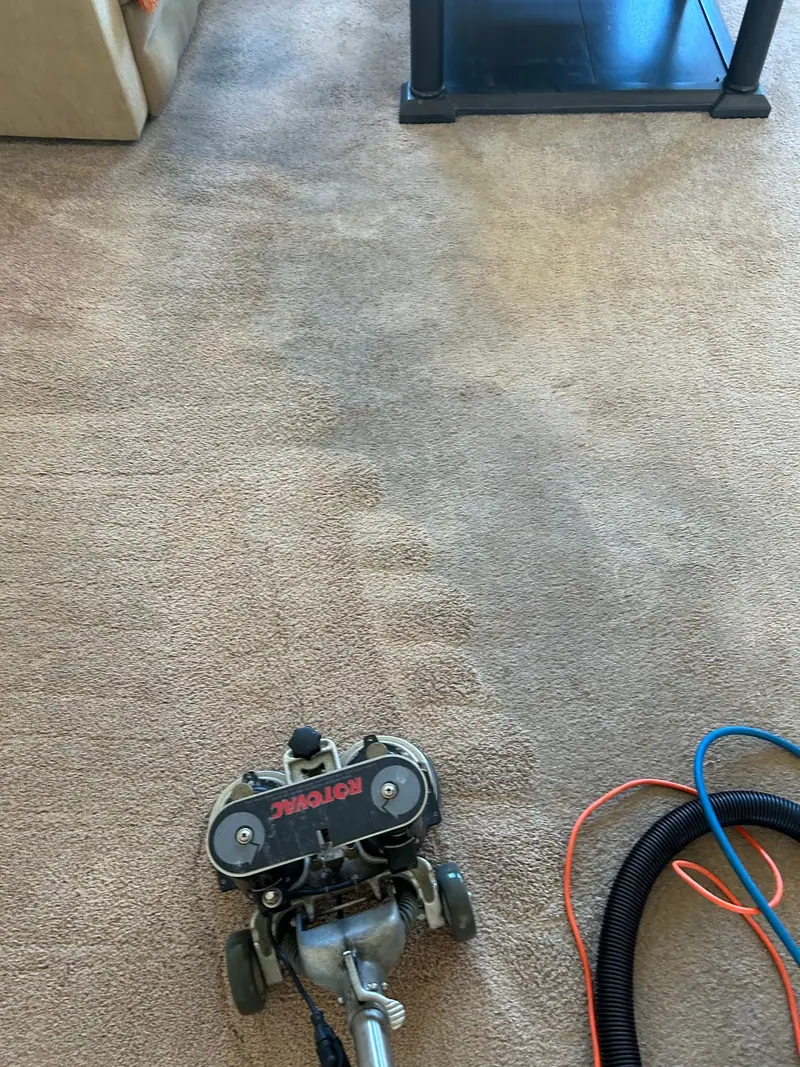 A grey traffic lane next to a cleaned lighter section of carpet