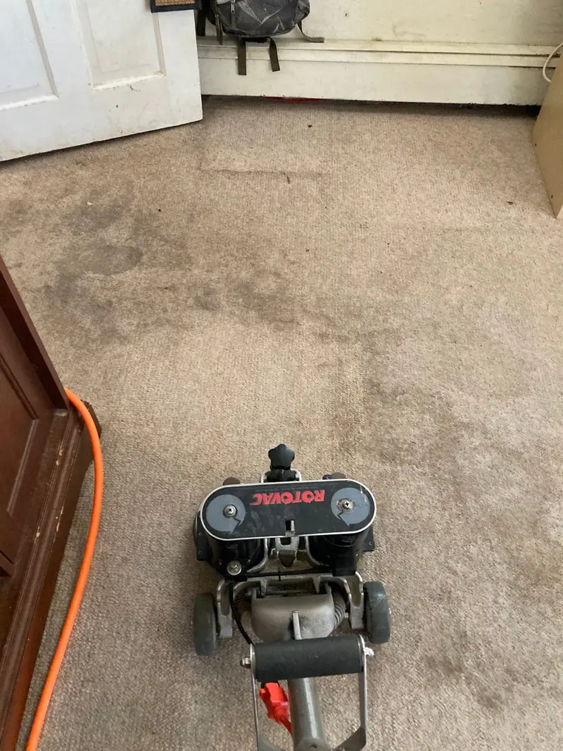 A Rotovac carpet cleaner mid-pass in a bedroom, with the cleaned carpet noticeably lighter than the dirty section beside it