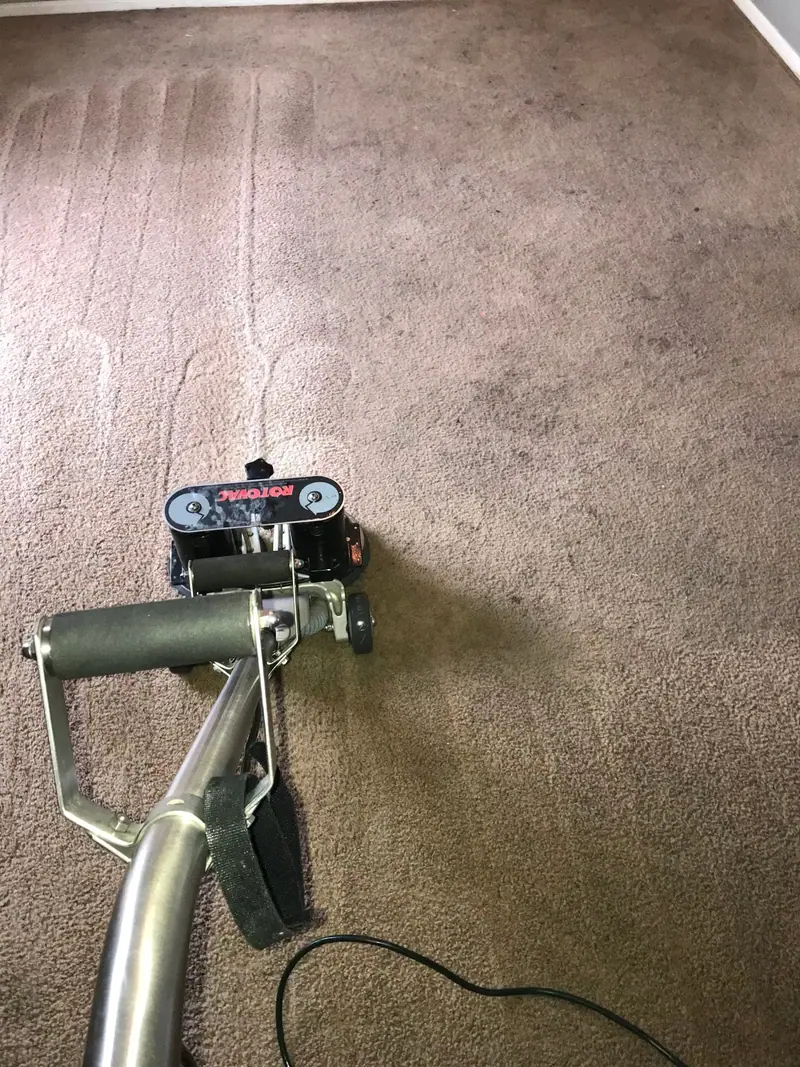 Clean Rotovac tracks across a dark matted carpet