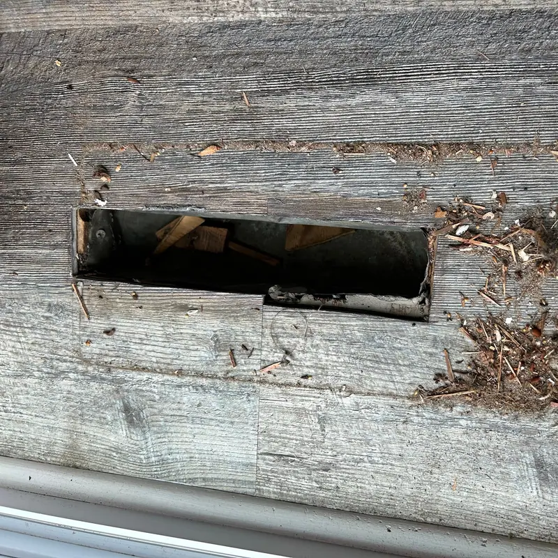 A vent opening with built-up lint and debris around it